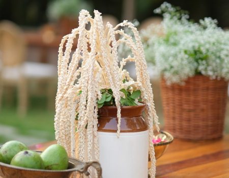 WhatsApp Image 2025-10-14 at 11.31.26_badb338c