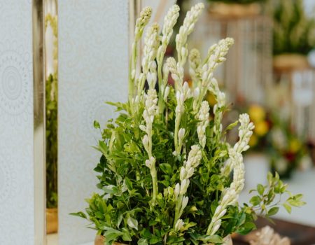 WhatsApp Image 2025-10-14 at 11.39.35_47ba52d2