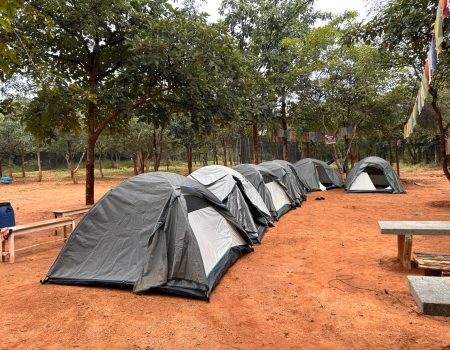 WhatsApp Image 2025-10-14 at 12.10.43_20280a6d