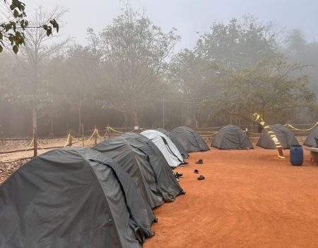 WhatsApp Image 2025-10-14 at 12.11.09_38c97b6e